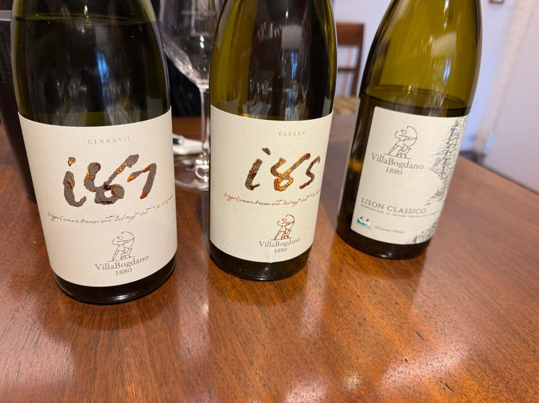 Villa Bogdano 1880-Lison必去景点