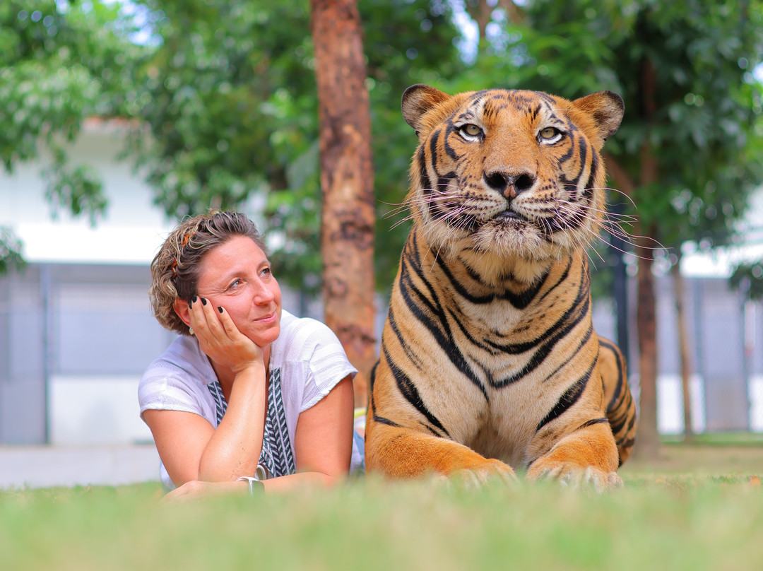 Tiger World Thailand-丹能沙都必去景点