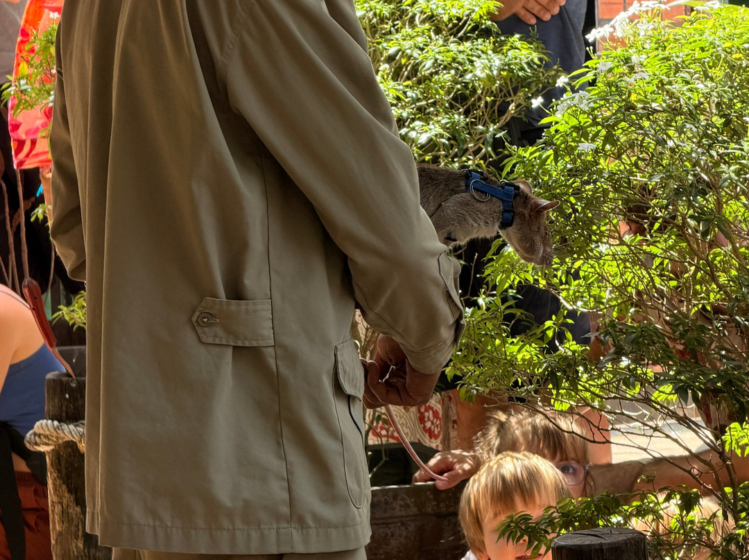 APOPO Visitor Center-暹粒必去景点