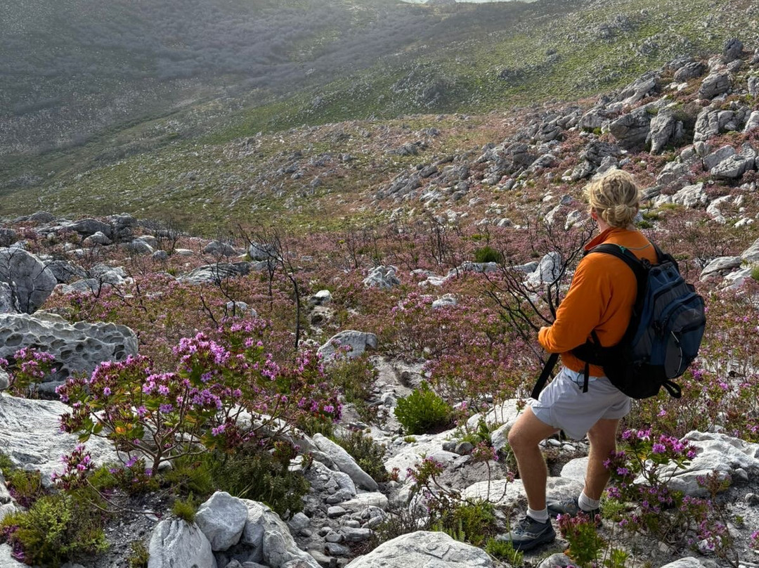 Wild Wellness-赫曼努斯必去景点