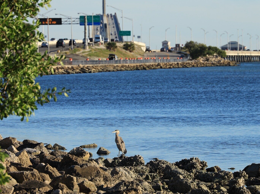 Skyway Fishing Pier State Park-圣彼德斯堡必去景点