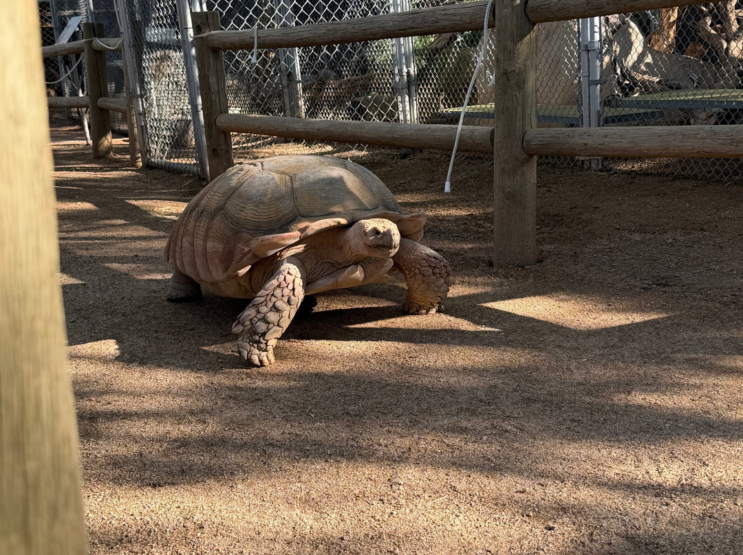 Southwest Wildlife Conservation Center-斯科茨代尔必去景点