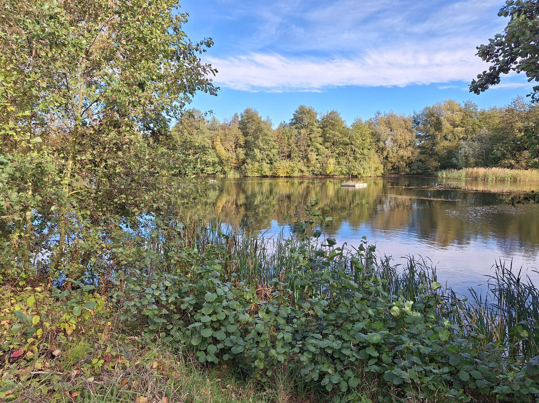 North Cave Wetlands Nature Reserve-Brough必去景点