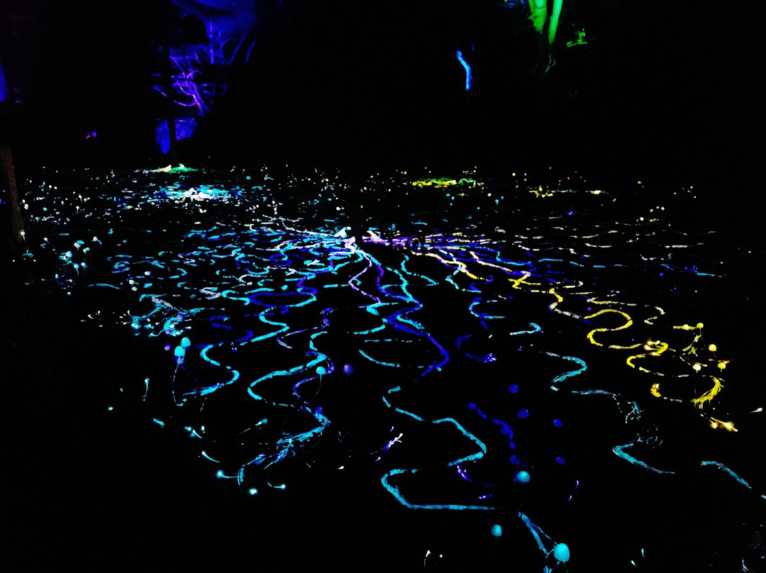 Westonbirt Arboretum-泰特伯里必去景点