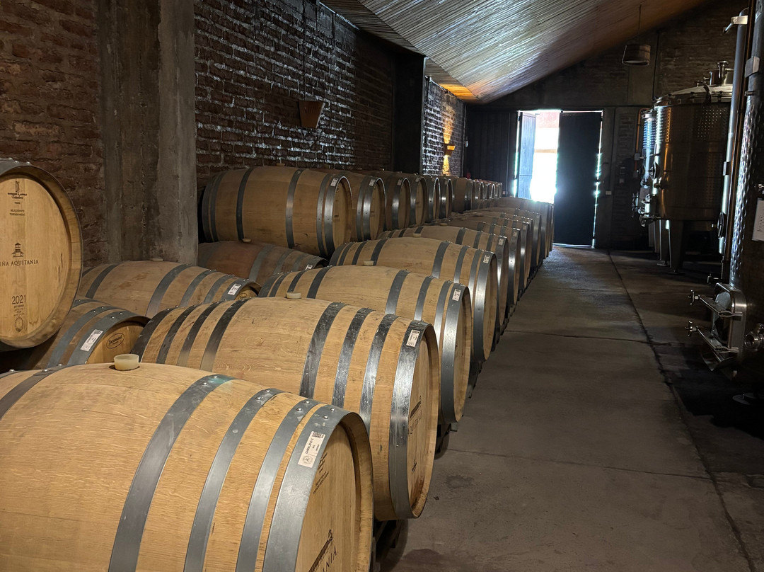 Vina Aquitania-圣地亚哥必去景点