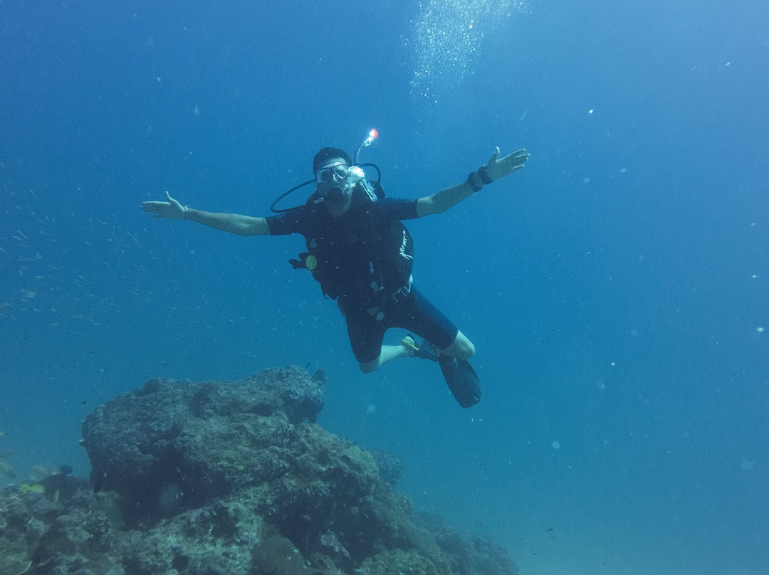 Dive Tribe-Neil Island必去景点