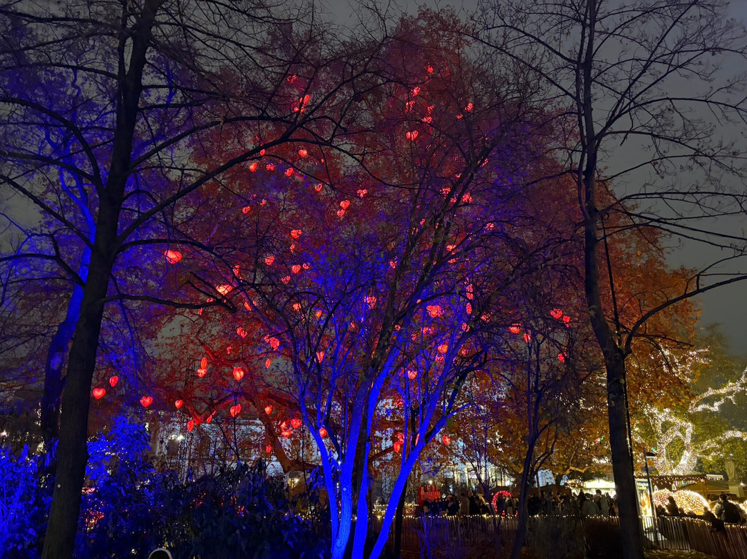 Wiener Christkindlmarkt-维也纳必去景点