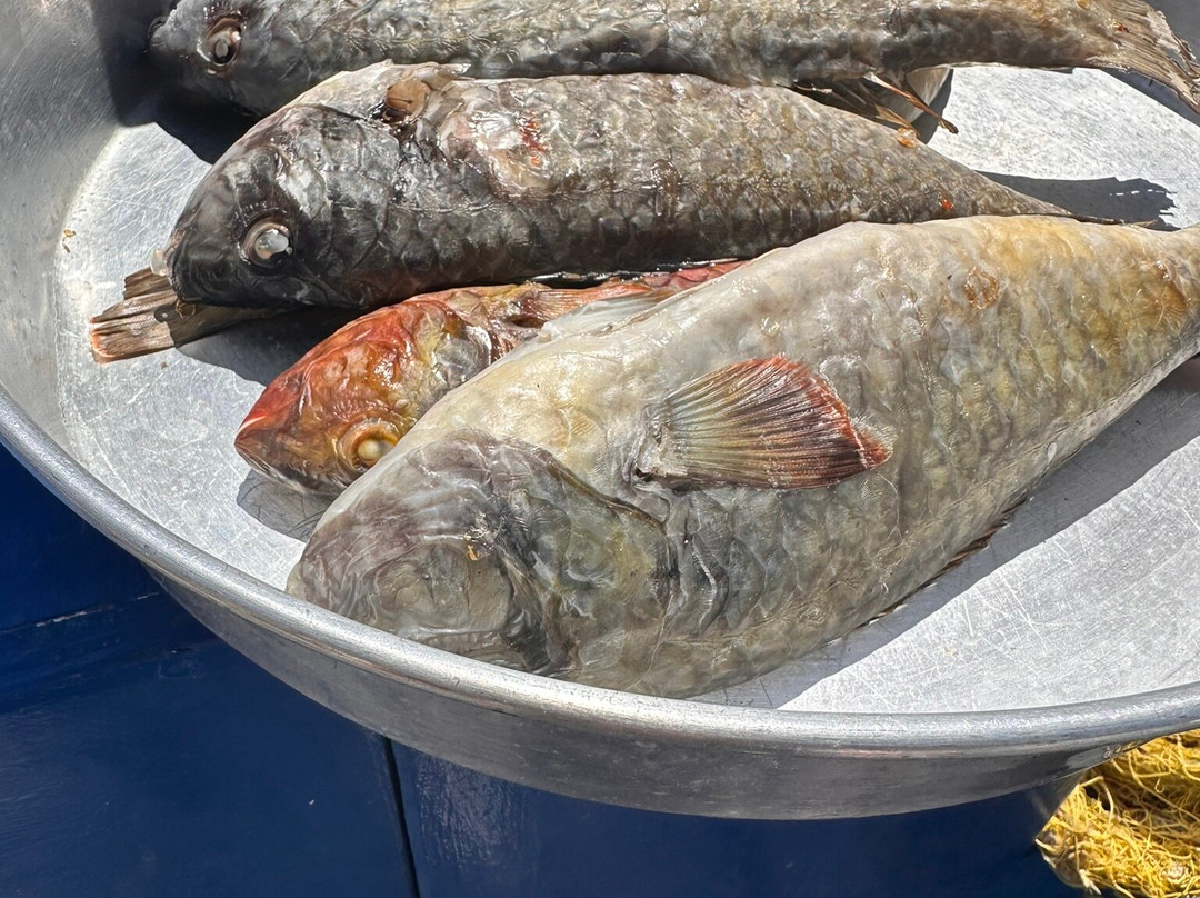 Naxos Fishing Trips By Stamatis-Agia Anna必去景点