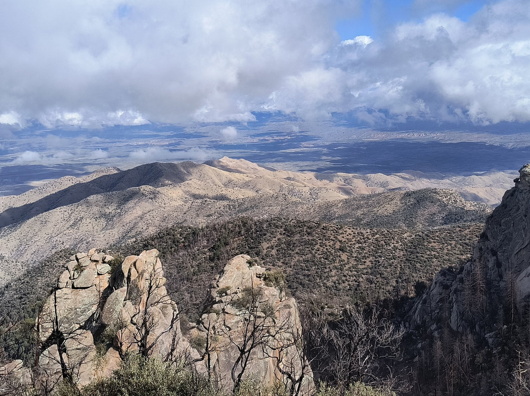 Mt. Lemmon Scenic Byway-图森必去景点