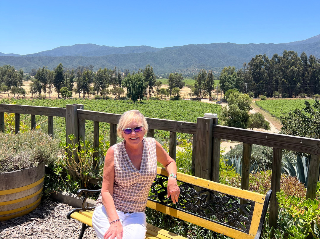 Villard Fine Wines-卡萨布兰卡必去景点