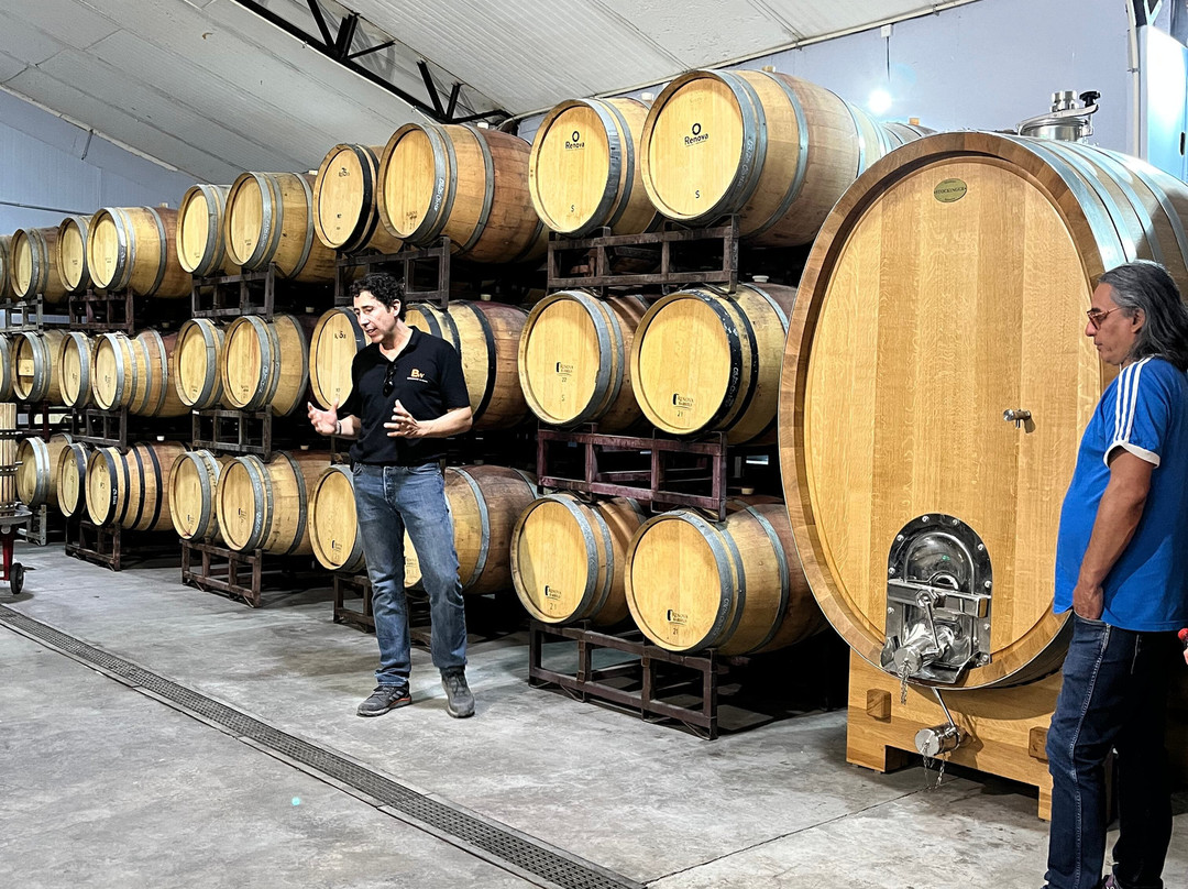 Besoain Wines-Pirque必去景点