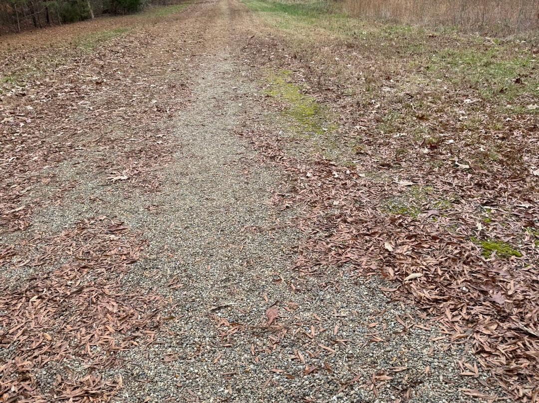 Cowpens National Battlefield-Gaffney必去景点