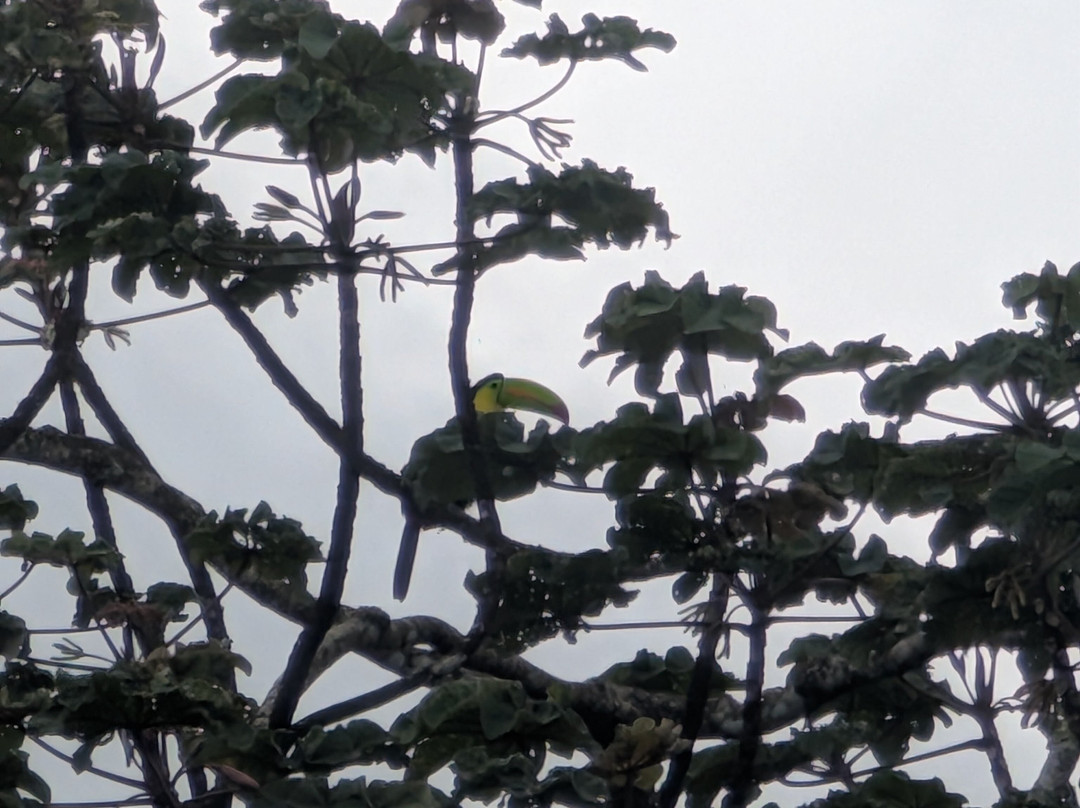 Brother's Adventures Tours-萨迪纳尔必去景点