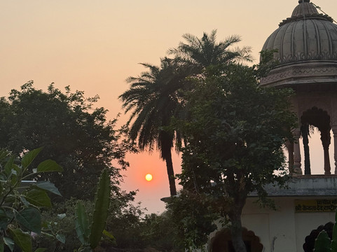 Wildlife Explorer India-新德里必去景点