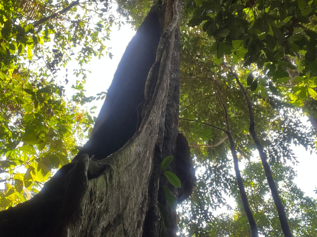 Reserva ecoturística las palmas-Florencia必去景点