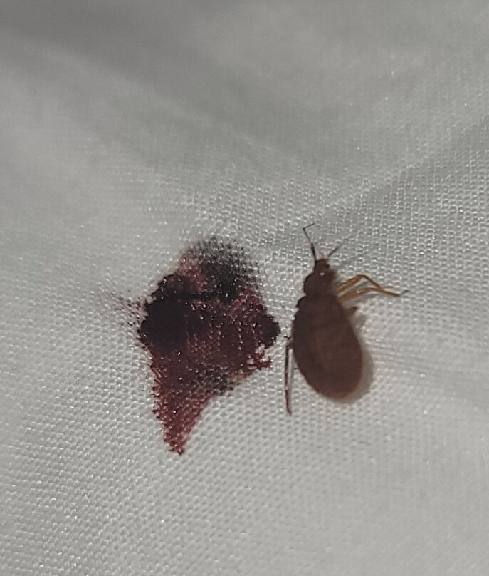 Embassy Suites by Hilton Berkeley Heights主图