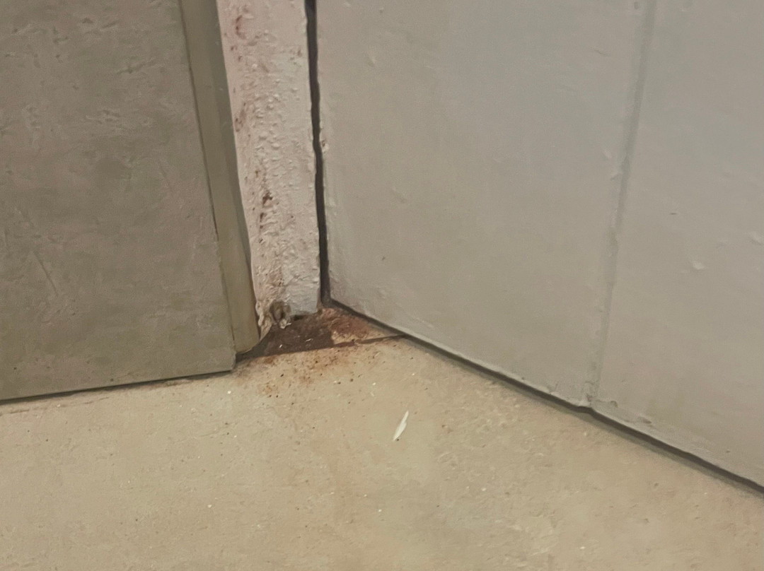 La Reserva Virgin Lodge主图