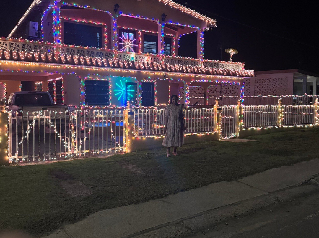 Abe's Snorkeling and BioBay Tours-维切克岛必去景点