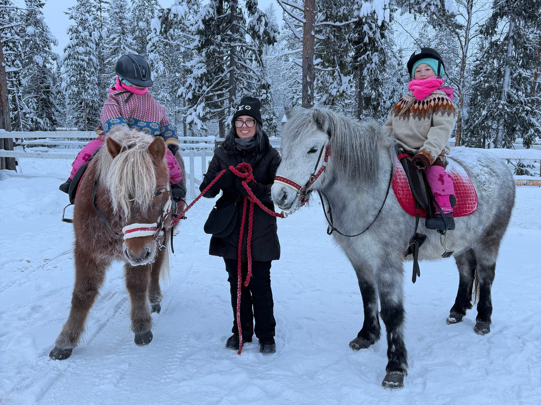 Lapin Saaga Icelandic Horse Stable in Levi-Sirkka必去景点
