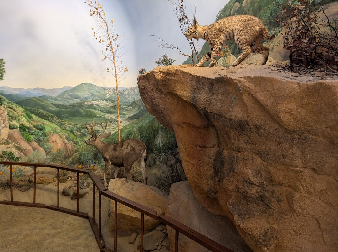 Ojai Valley Museum of History and Art-奥海必去景点