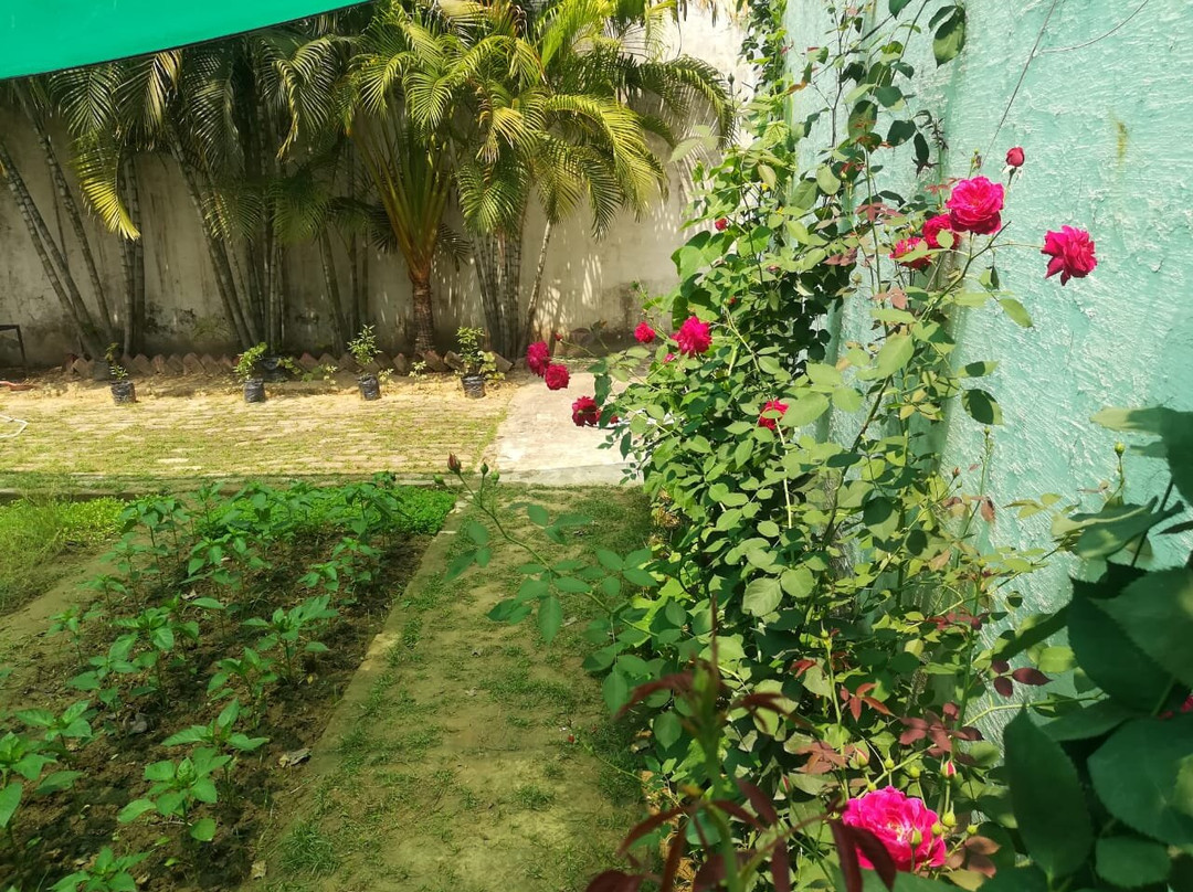 Agro-Homeopathy based Organic Botanical Herbal Garden (AHOBHAG)-Roorkee必去景点