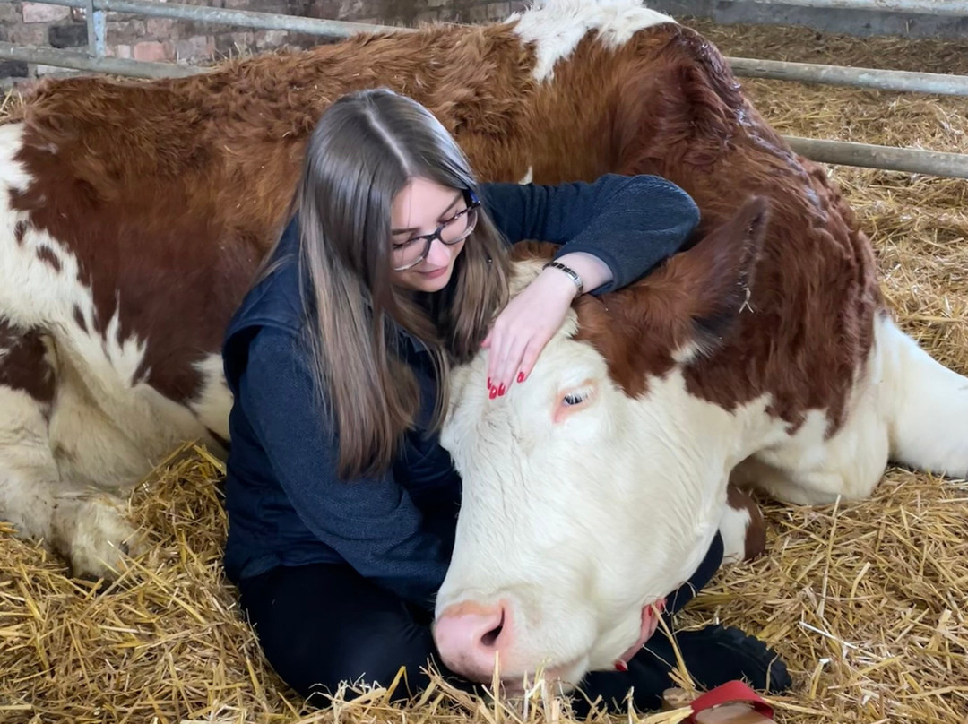 Dumble Farm-比弗利必去景点