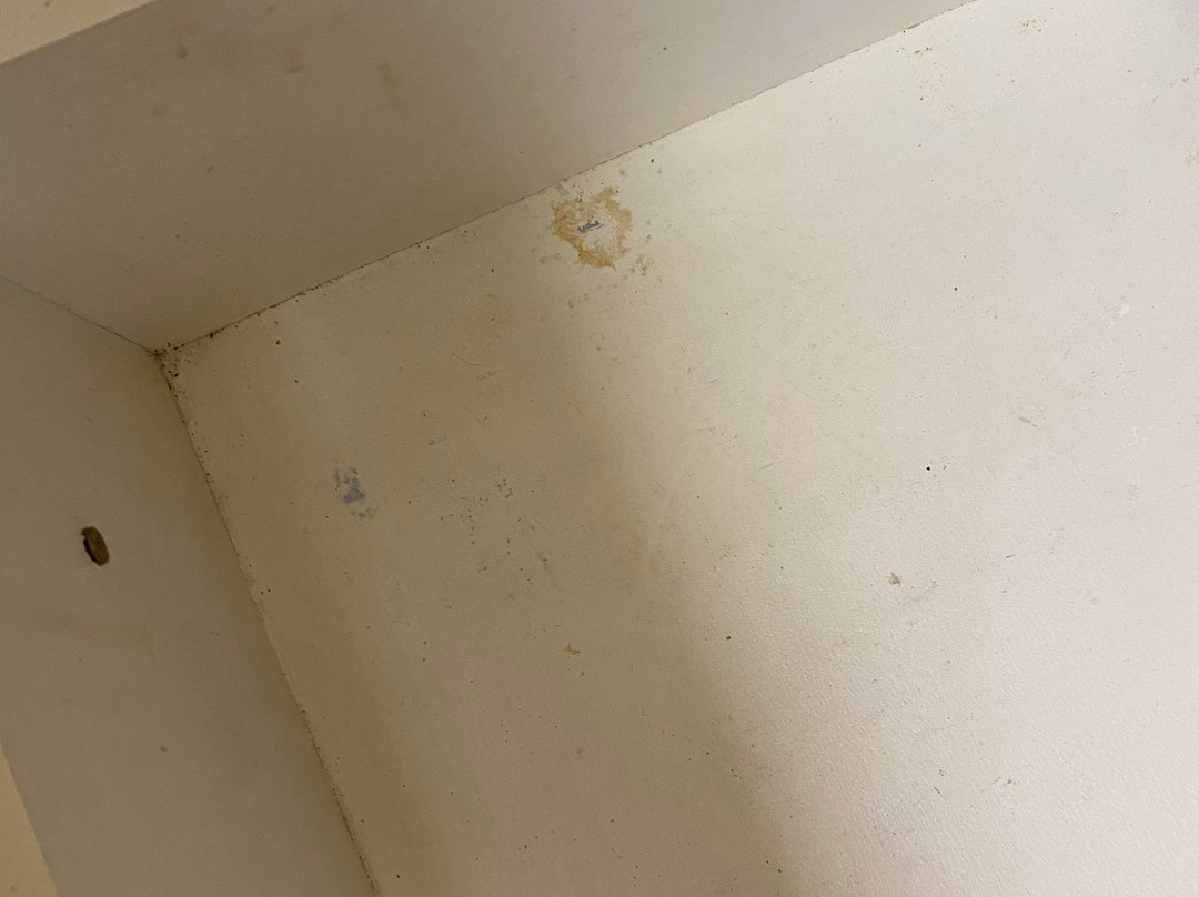 Extended Stay America Chicago - Westmont - Oak Brook主图