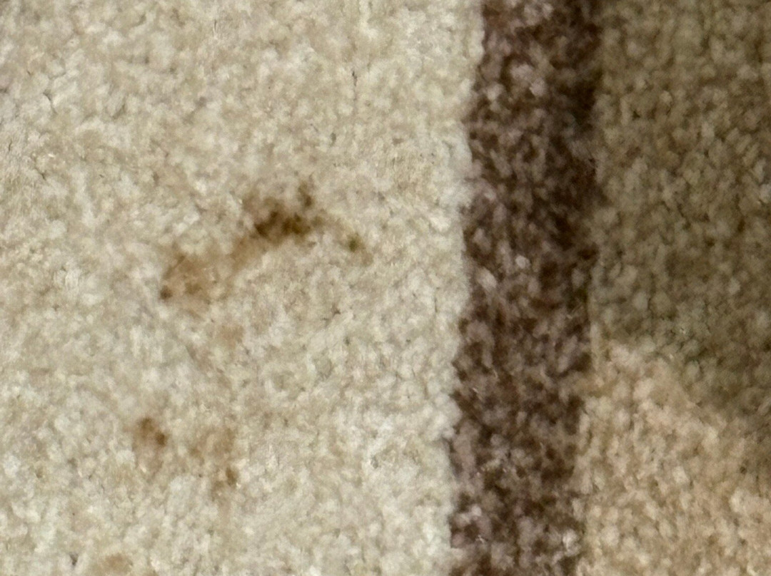 High Tor Hotel主图