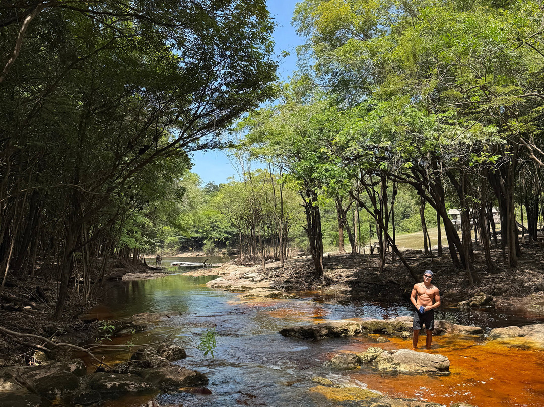 Amazon Rambo Jungle Tours-玛瑙斯必去景点