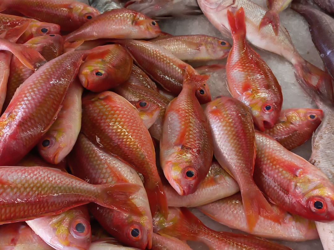 Mutrah Fish Market-马斯喀特必去景点