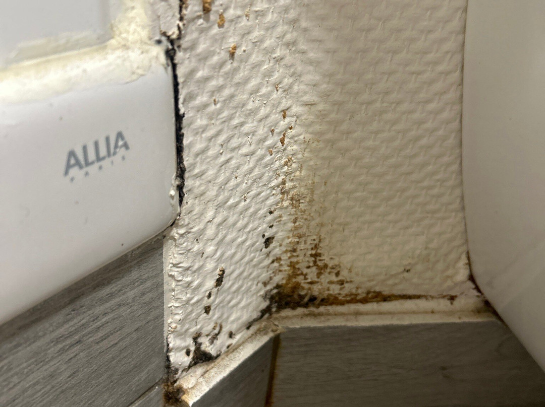 The Originals City, Hotel Mulhouse East主图