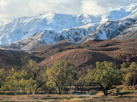 Live Morocco tours-非斯必去景点