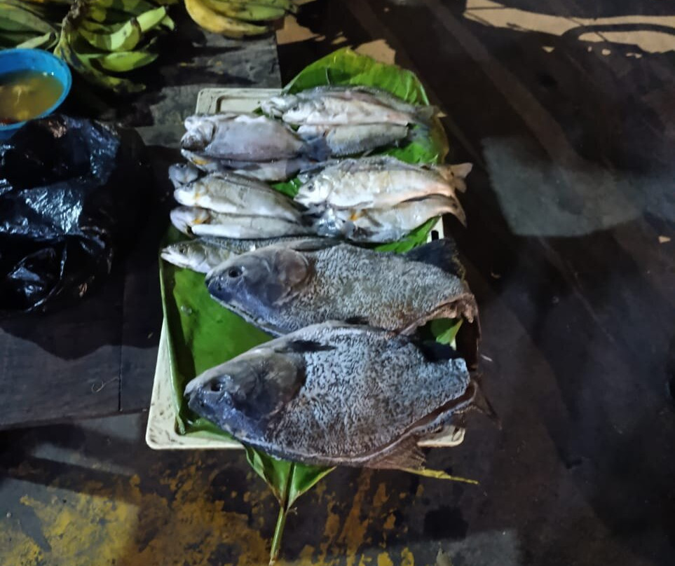 Belen-伊基托斯必去景点