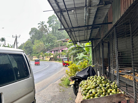 Walter Tours & Travels-康提必去景点