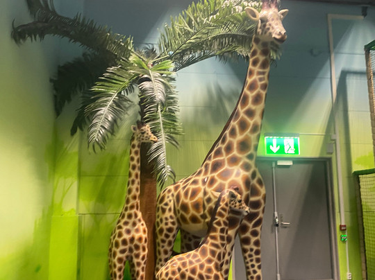 Leos Lekeland Trondheim-特隆赫姆必去景点