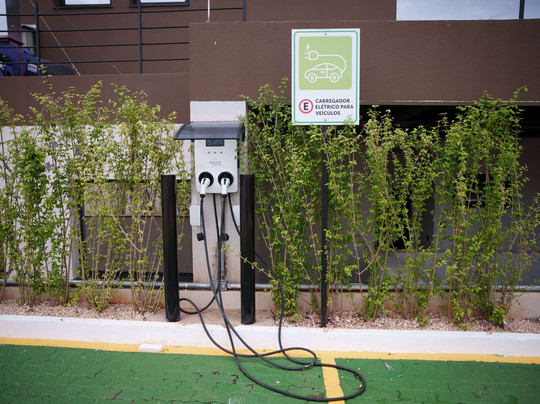 Ibis Tangara Da Serra