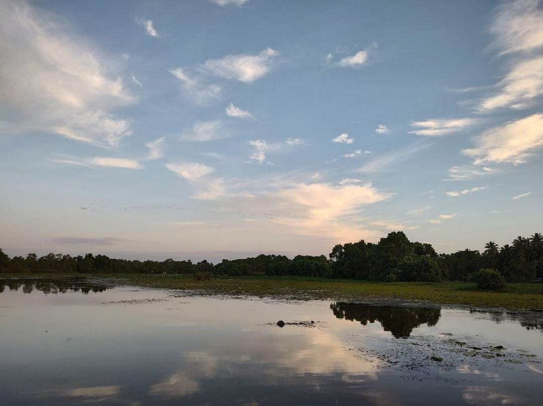 Kalametiya Bird Watching & Ecotourism-Kalametiya必去景点