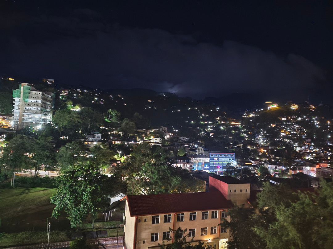 Oak Ray City Hotel主图