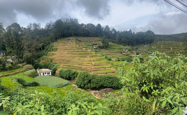 H.O.T Tourism-科伦坡必去景点