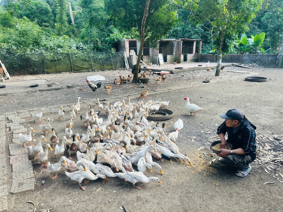 Blue Swimmer Adventures-卡巴必去景点