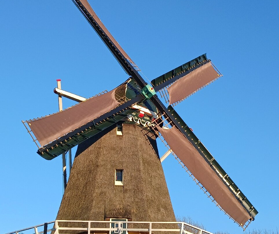 运河区-乌特勒支必去景点