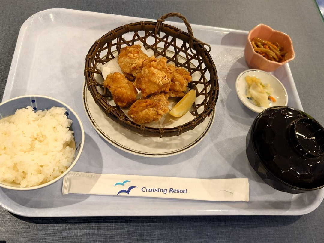 Shin Nihonkai Ferry from/to Otaru Port-小樽市必去景点