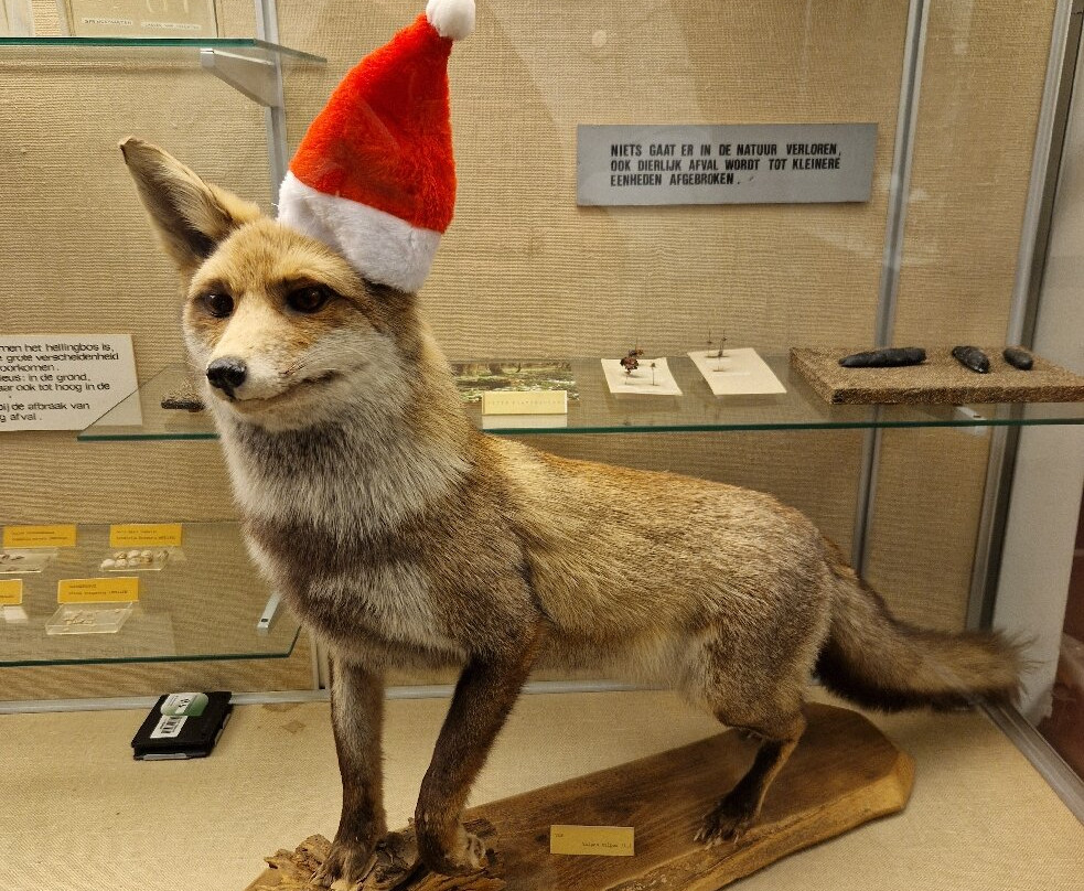 Natural History Museum of Maastricht-马斯特里赫特必去景点