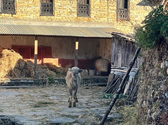 Himalaya Hub Adventure-加德满都必去景点