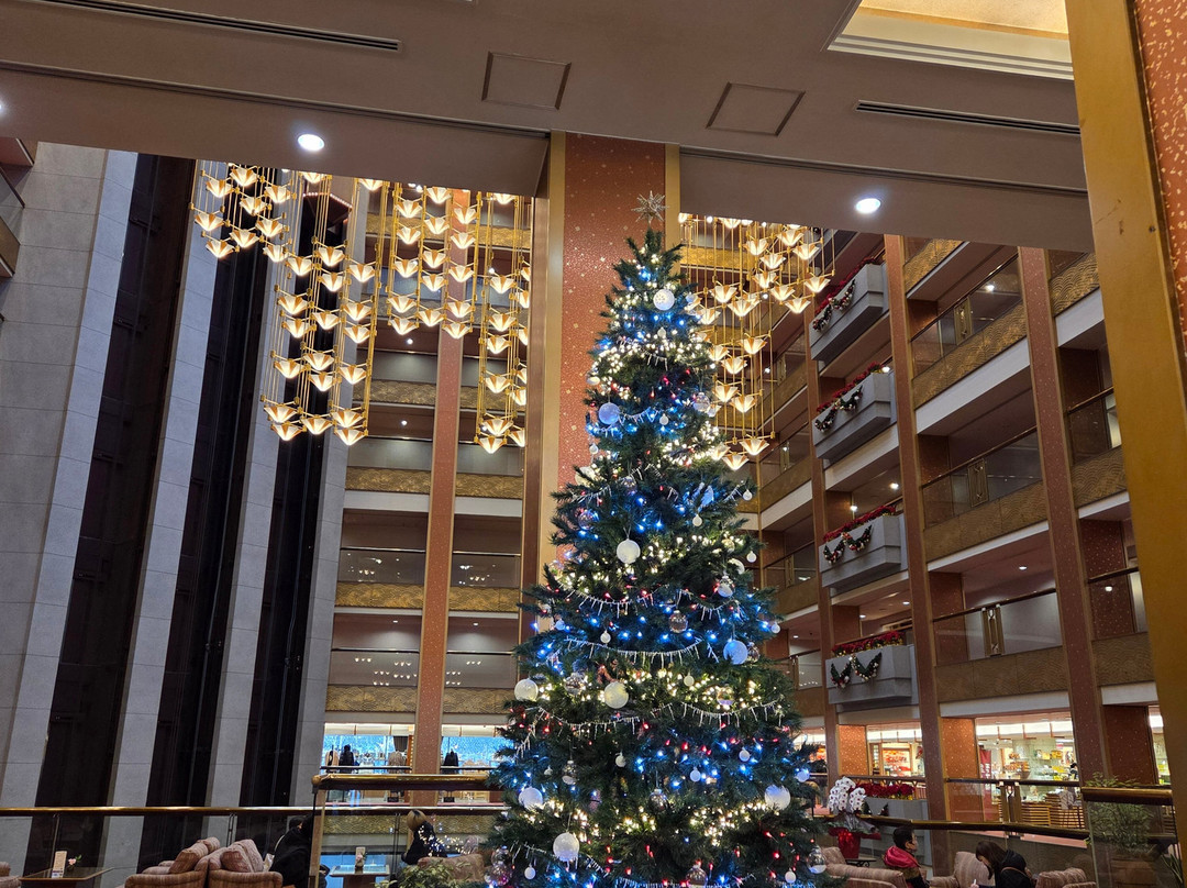 鬼怒川ASAYA温泉旅馆主图