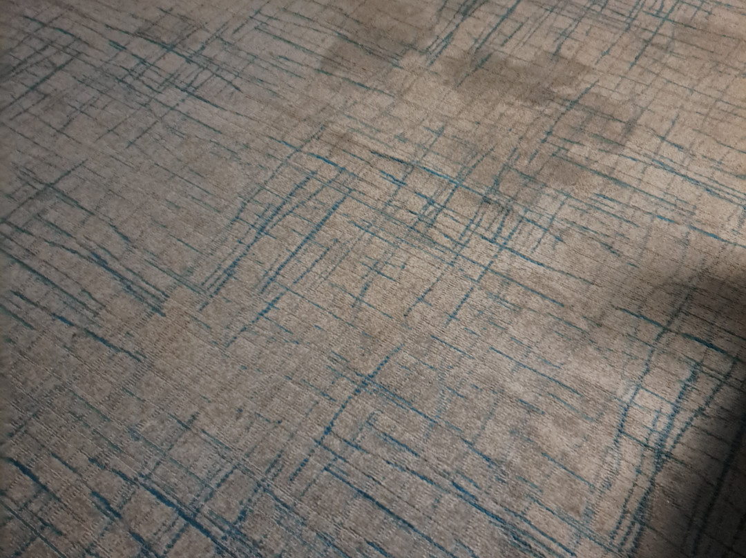 Best Western Toledo South Maumee主图