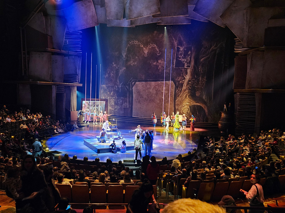 Drawn to Life by Cirque du Soleil-奥兰多必去景点