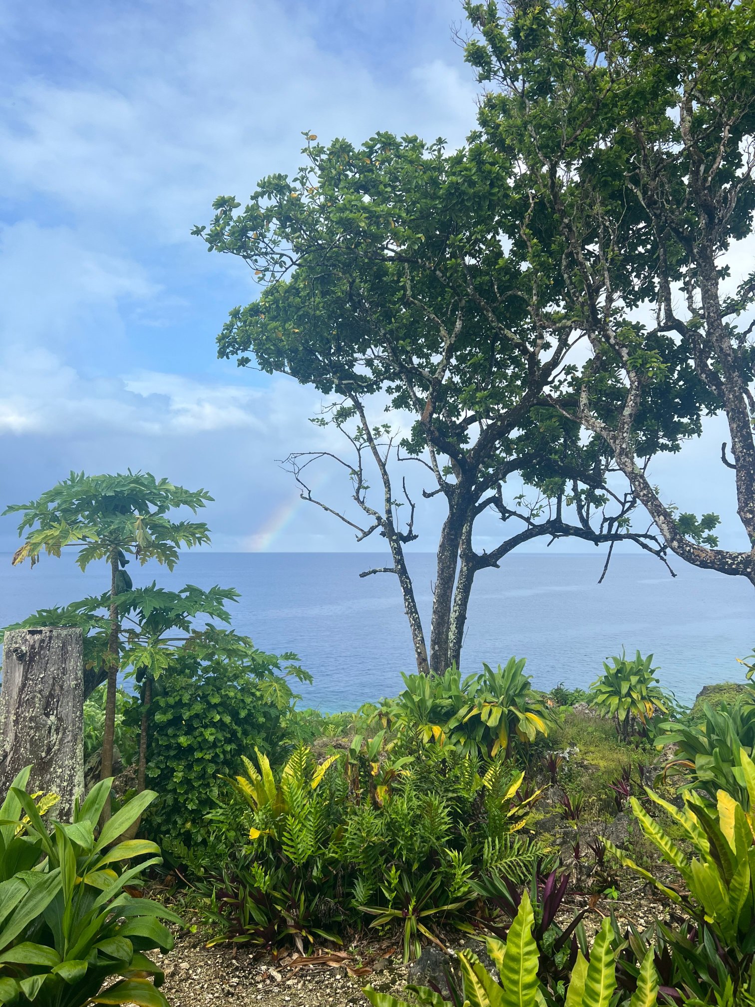 Scenic Matavai Resort Niue-酒店景观