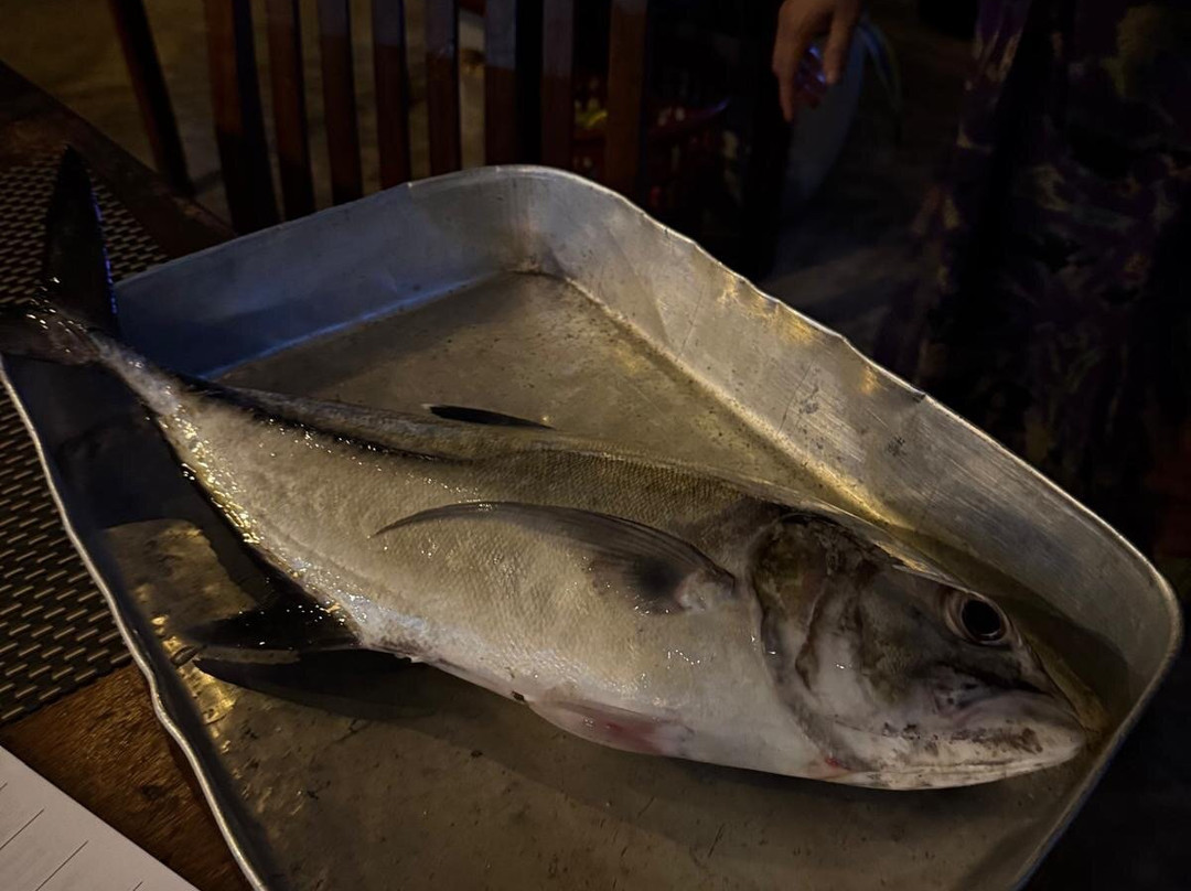 Turtle Paradise主图