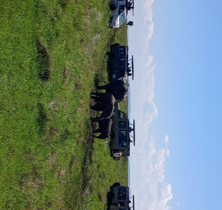 Malnodez Safaris-纳库鲁必去景点